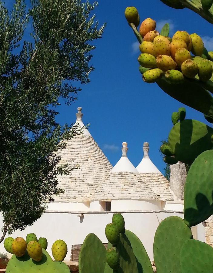 Trulli Il Geco Sognante Villa Ceglie Messapica Luaran gambar